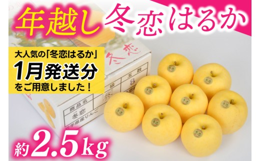 ★年明け発送★ りんご 「年越し 冬恋はるか 約2.5kg 」 糖度15度以上 数量限定 岩手県産 りんご リンゴ 林檎 冬恋 はるか フルーツ くだもの 果物 【冬恋研究会】 (AI022-ts)