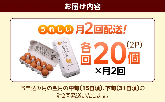 たまご 卵 放牧卵 平飼い卵 国産卵 タマゴ 玉子 鶏卵 鶏 卵黄 月2回