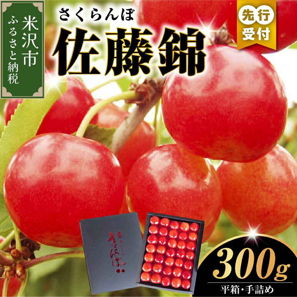 【ふるさと納税】【先行予約】【数量限定】【令和8年産】さくらんぼ 佐藤錦 300g 平箱 手詰め 秀L以上 2026年6月中旬～下旬頃お届け予定
