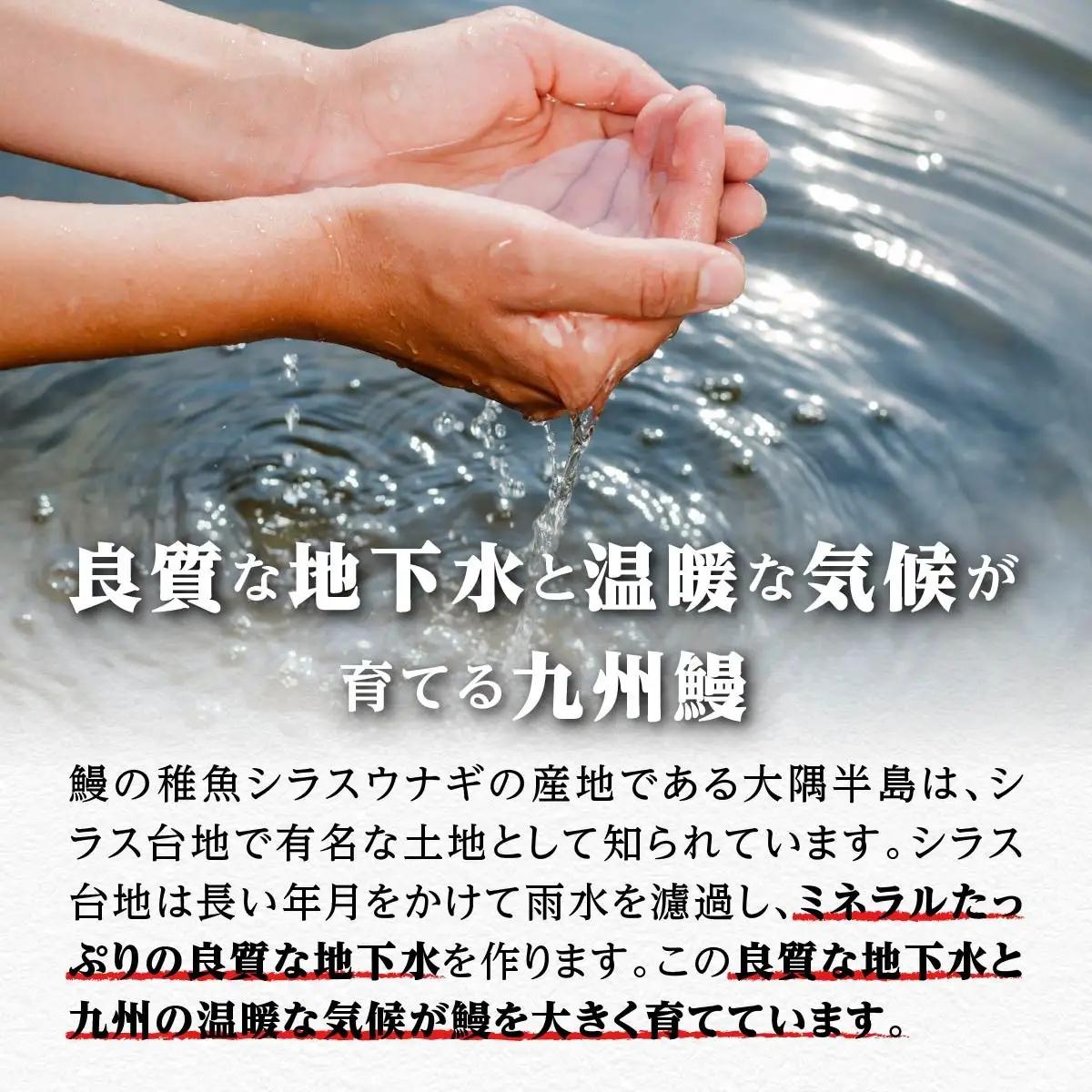 鹿児島県大隅産 うなぎ 備長炭手焼蒲焼４尾(合計600g以上)｜うなぎ