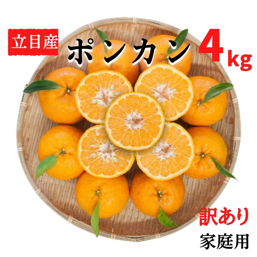 【ふるさと納税】 【早期予約 2026年1月中旬より順次発送】 ぽんかん 4kg 家庭用 大小混合 不揃い 規格外 わけあり 訳アリ 先行予約 高知県産 立目産 果物 フルーツ 柑橘 みかん くだもの 低農薬 高知県 須崎市