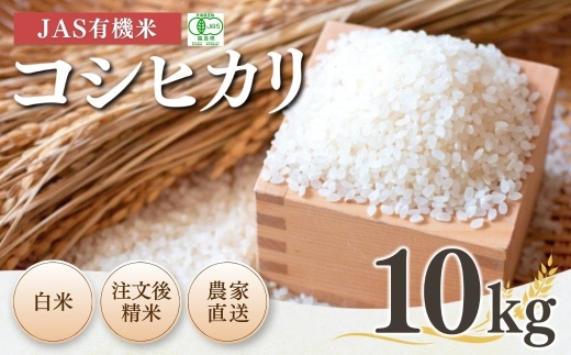 【先行予約】【コシヒカリ】白米 10kg JAS有機米 令和8年産 | 精米 JAS 有機米 米 コメ ブランド米 低温貯蔵庫 福島県産 根本有機農園 オーガニック米 福島県産こしひかり 福島県産コシヒカリ 福島コシヒカリ bd004-ac