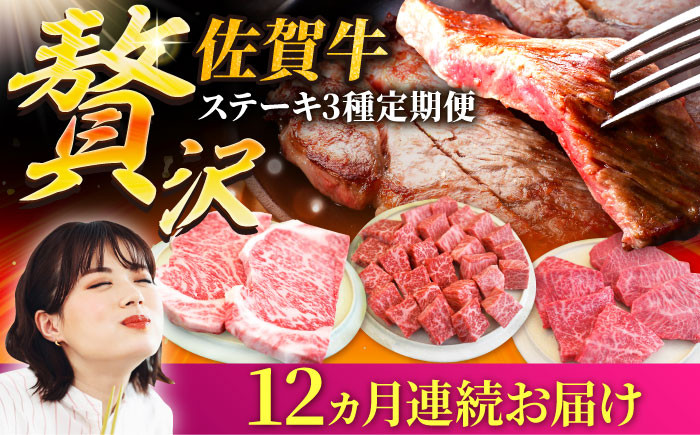 
【牧場直送】【12回定期便】佐賀牛 贅沢 ステーキ 食べ尽くし【有限会社セントラル牧場】 [IAH082]
