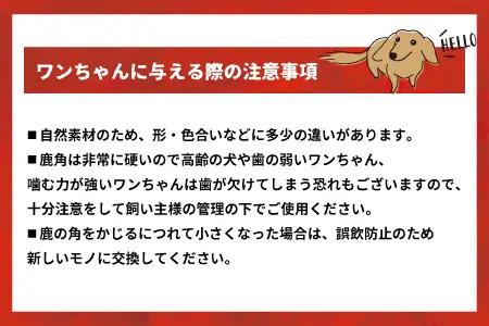 犬用「鹿の角」XLサイズ×1本[53-1635]