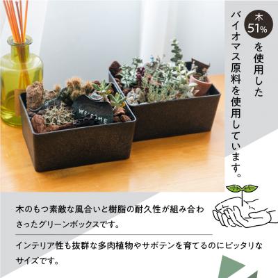 ふるさと納税 下呂市 【木】KITOHAKO グリーンボックス 1個　小物入れ ケース ボックス【103-2【1】】 |  | 02
