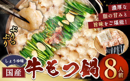 国産もつ鍋 8人前 冷凍ちゃんぽん・濃縮スープ付（醤油味） もつ ホルモン 鍋 お鍋 セット 冷凍 岡垣町