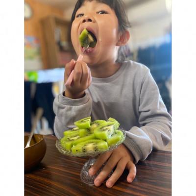 ふるさと納税 八幡浜市 愛媛県八幡浜産キウイフルーツ(3kg)【C81-1】 |  | 03