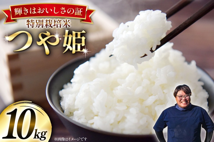
            米 令和7年産 特別栽培米 つや姫 10kg (5kg×2) [本田勇仁 山形県 高畠町 tk06bgj910005] お米 白米 精米 ごはん ご飯 ブランド米 
          