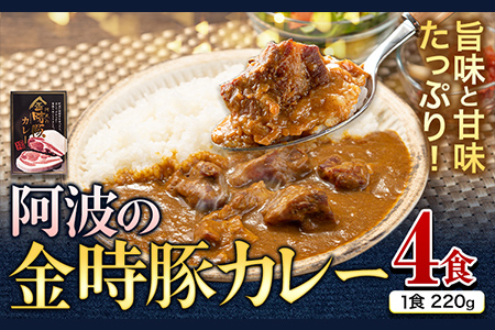 阿波の金時豚カレー 4個セット アグリガーデン 《30日以内出荷予定(土日祝除く)》｜ 加工食品 総菜 レトルト カレー 豚 豚肉 加工品 贈答用 贈り物 お歳暮 親戚 プレゼント