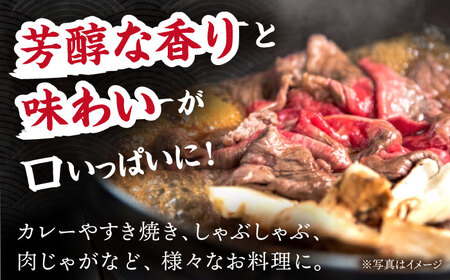 飛騨牛 切り落とし 1kg (250g×4) [TDC013] 牛肉 切り落とし
