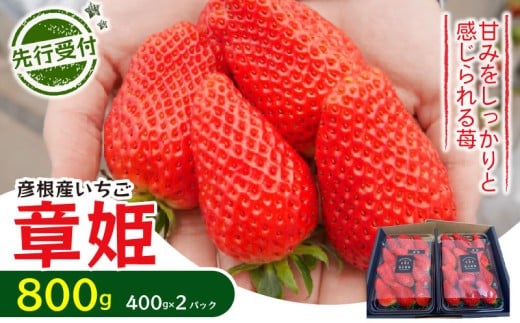 【先行予約】 いちご 章姫 800g あきひめ 苺 イチゴ 果物 くだもの フルーツ 食品 ストロベリー ジャム スムージー 期間限定 贈答 ギフト 400g × 2 パック 福花農園 彦根 滋賀