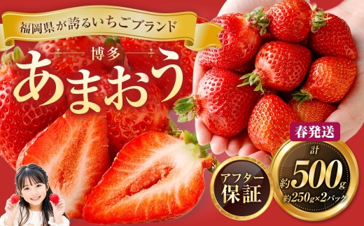 博多 あまおう 2パック（春）【2027年2月上旬～2027年4月下旬発送予定】