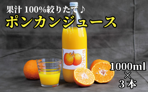 【太地町産】南紀たいじの【完熟】ポンカンジュース3本セット ぽんかん ポンカン ジュース 果汁 100% 太地 みかん みかんジュース ミカン