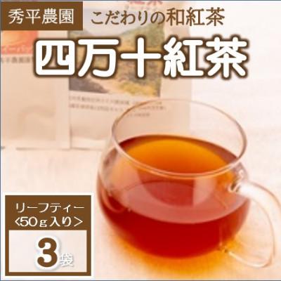 ふるさと納税 津野町 四万十紅茶＜リーフティー＞50g×3袋