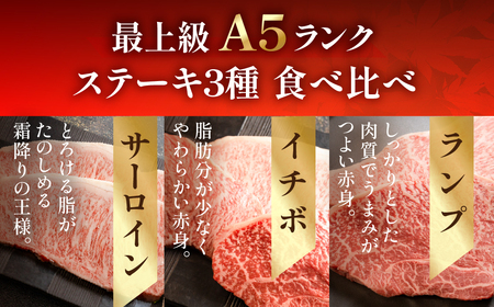 飛騨牛サーロイン・イチボ・ランプステーキセット（サーロイン / イチボ / ランプ各 約170g）【11-18】【冷凍】
