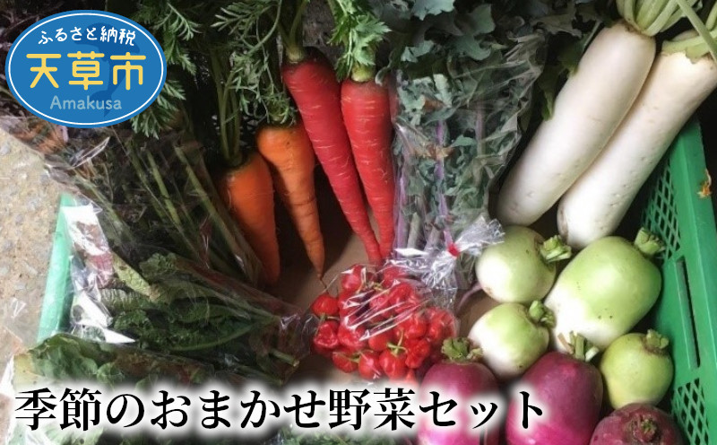
S096-002_季節のおまかせ野菜セット
