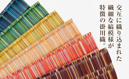 純国産天然いぐさ 「掛川織リ フリーマット 大 純国産 いぐさ い草 天然 自家生産 掛川 ラグ BG025