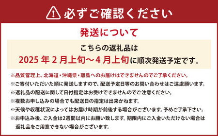 大粒あまおう 4パック あまおう いちご イチゴ 苺 果物 くだもの フルーツ【2025年2月上旬～4月上旬発送予定】