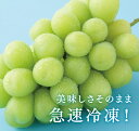 【ふるさと納税】 フローズンシャインマスカット 100g×5袋 ふるさと納税 おすすめ ランキング シャインマスカット フローズン 笛吹市 国産 人気 期間限定 ぶどう ブドウ 葡萄 旬 果物 フルーツ 山梨県 送料無料　098-001