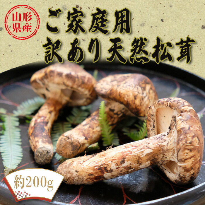 【ふるさと納税】【2026年発送】山形県産ご家庭用訳あり天然松茸（まつたけ）約200g_H205(R8)