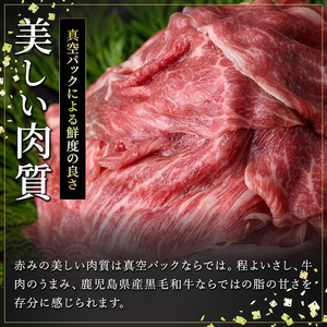 a844-A 黒毛和牛切り落とし(6P計120g)【水迫畜産】国産 肉 牛肉 黒毛和牛 切り落とし セット 小分け トレー無し SDGs