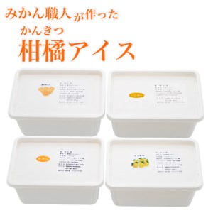 アイス 柑橘 夢オレンジ 河内晩柑 愛媛みかん しらぬい 1000ml 4種 みかん ギフト アイス 詰め合わせ アイス みかん 有名 みかん職人 武田屋 お取り寄せ アイス みかん 贈り物 みかん 