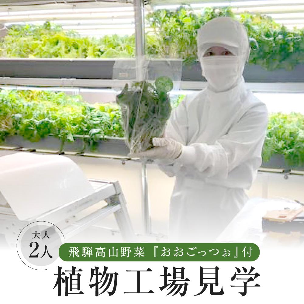 【ふるさと納税】飛騨高山野菜『おおごっつぉ』付植物工場見学（大人2人）| 工場見学 体験学習 長期連休 グリーンリーフ 園芸 チケット 旅行 飛騨高山 株式会社FDS HS003 | 見学 体験 工場見学 野菜 やさい 食品 人気 おすすめ 送料無料
