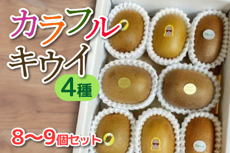 【11月~3月の期間限定】 カラフルキウイ4種8～9個セット 国産 6856