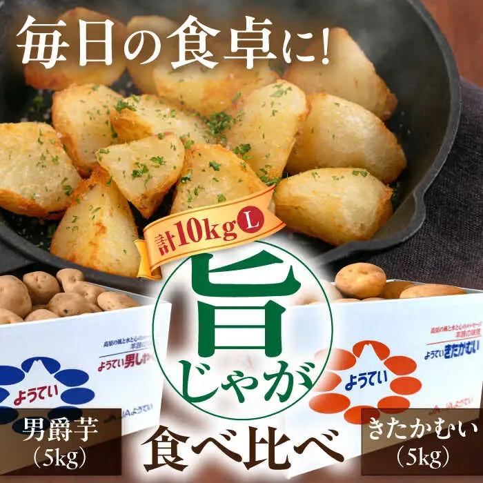  【先行予約】食べ比べセット 10kg [AJAK033] じゃがいも 