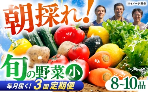 【3回定期便】 土佐の太陽をいっぱいに浴びた旬の野菜セット小 　野菜  定期便  やさい 高知市 詰め合わせ 旬 【土佐野菜】 [ATBA005]