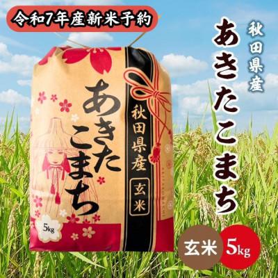 ふるさと納税 潟上市 【新米予約】令和7年産 秋田県産あきたこまち 5kg(玄米)　9月下旬順次発送