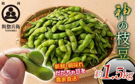 ≪2026年先行予約≫【與惣兵衛】山形県産 神の枝豆 だだちゃ豆 約1.5kg 2026年8月上旬から順次発送 F2Y-5461