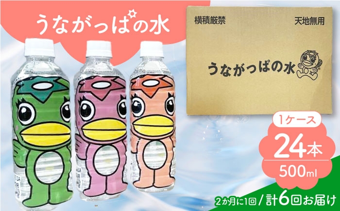 
                  【6回定期便】 うながっぱの水 1ケース（ 500ml ペットボトル × 24本 ） 2 多治見市 /多治見市観光協会 ミネラルウォーター 備蓄 [TAQ017]
                