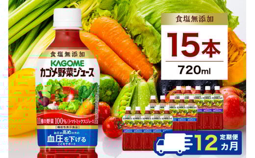 【定期便12ヵ月】カゴメ　野菜ジュース食塩無添加　720ml PET×15本 1ケース 毎月届く 12ヵ月 12回コース【 栃木県 那須塩原市 】 ns001-010