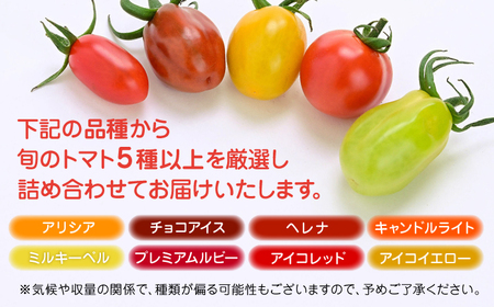 【全3回定期便】【期間限定】熊本県産 減農薬栽培 トマト ミディトマト 詰め合わせ 30個×2セット 計60個 食べ比べ ギフトセット 産地直送【矢仁田農園】[YDE016]