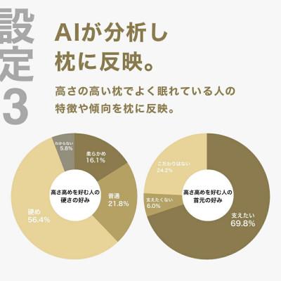 ふるさと納税 我孫子市 高い枕を好む人向け枕 THE PILLOW Preset 15 Takame |  | 03