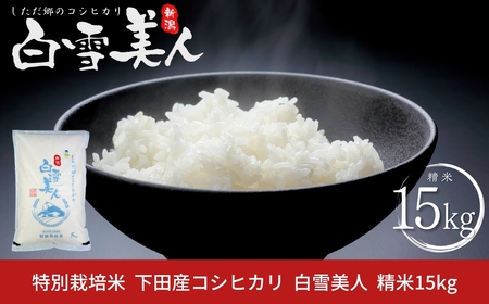 令和7年産米 特別栽培米 下田産コシヒカリ 「白雪美人」 精米 15kg（5kg×3） 新潟県 こしひかり 三条産 新潟県産【047S019】