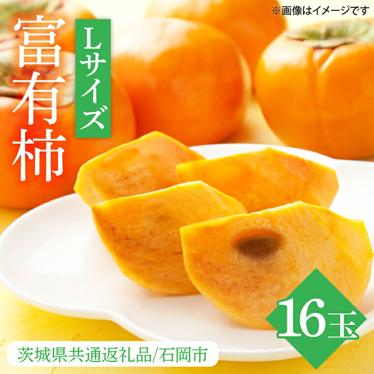 【ふるさと納税】2026年10月下旬より順次発送 数量限定 富有柿 L 16玉（茨城県共通返礼品/石岡市）水戸市 茨城県 カキ 柿 フルーツ 果物 くだもの 富有柿 ジューシー 甘い（IU-9）