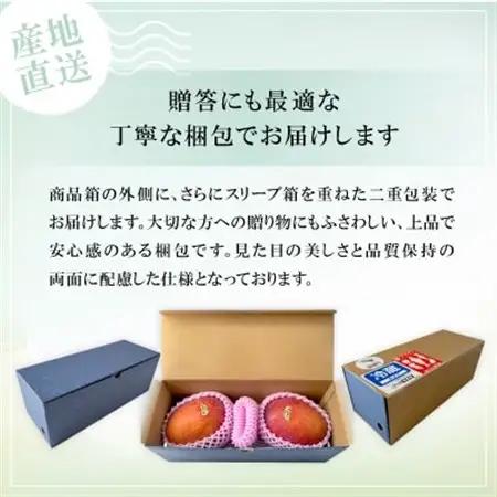【2027年6月下旬から順次発送】かみざと農園の贈答用アップルマンゴー1kg【配送不可地域：離島】【1601771】