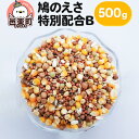 【ふるさと納税】鳩のえさ 特別配合B 500g×1袋 サイトウ・コーポレーション 飼料
