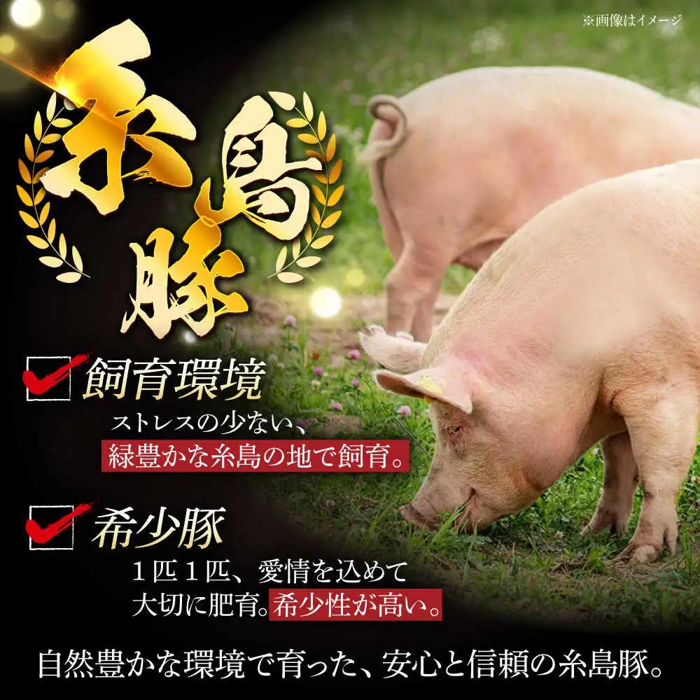 【全3回定期便】合計4.6kg！糸島豚食べ尽くしセット(とんかつ、肩ロース、しゃぶしゃぶ、豚バラ、スペアリブ、小間切れ) 糸島市 / トラヤミートセンター 豚肉 セット[AJD023]