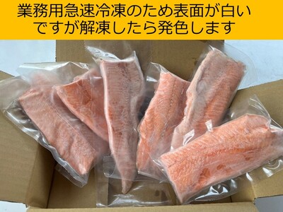 【3月上旬発送】北海道　国産ドナルドサーモン(生食用)　800g　鮭　サーモン　人気サーモン　サケ　国産サーモン　国産鮭　鮭　北海道サーモン