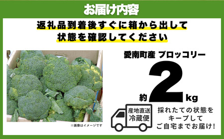 ブロッコリー 2kg 朝採れ 当日 発送 新鮮 採れたて 産地直送 農家直送  国産 野菜 シャキシャキ 食感 茎 まで 甘い 栄養満点 ご家庭用 サラダ スープ お弁当 彩り野菜 旬 の 味覚 離乳