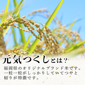 ＜数量限定＞元気つくし 精白米 (5kg)お米 米 精白米  国産 福岡県産 ブランド米 5kg 数量限定 常温＜北海道・沖縄・離島配送不可＞【ksg1780】