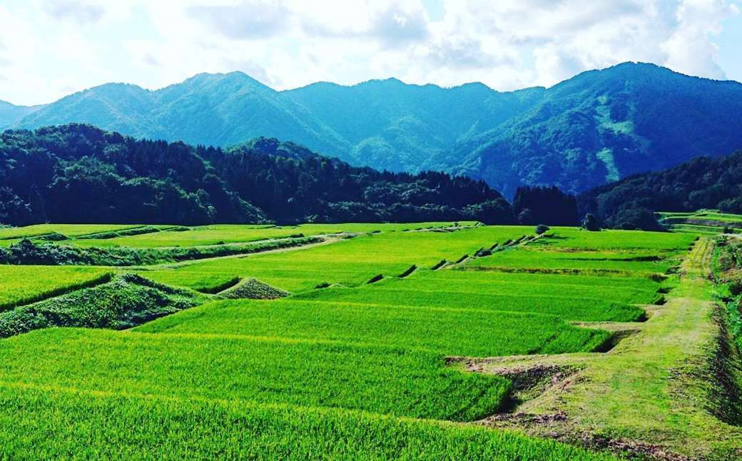 【令和7年産米】新潟県村上市岩船産 棚田米 コシヒカリ 玄米 10kg AB4041