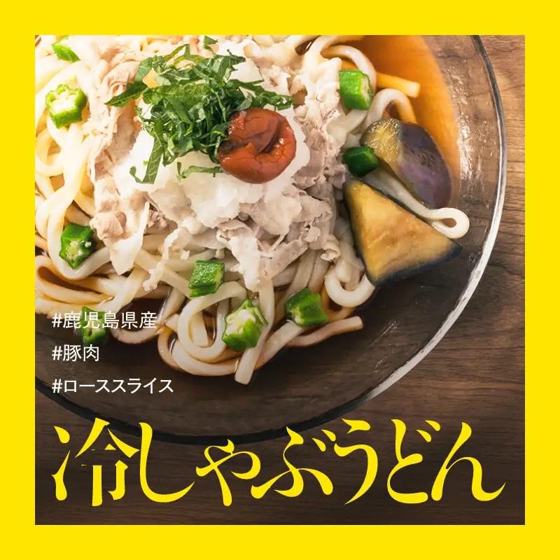 鹿児島県産 豚肉 ロース（ 又は 肩ロース ） スライス （1,000g）・ カツ （10枚） セット KN179-004-02 肉 豚