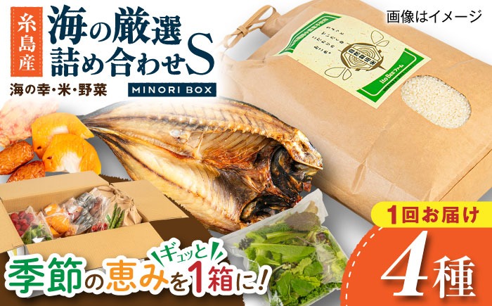 糸島産 魚 米 野菜 果物 厳選詰め合わせ MINORI BOX Sサイズ 糸島市 / emma.Inc / 米 魚 野菜 詰め合わせ[AOP019]