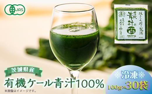 ベルファームの冷凍有機青汁百 茨城県産ケール100% 100g×30袋 ＜離島・沖縄配送不可＞【1443688】