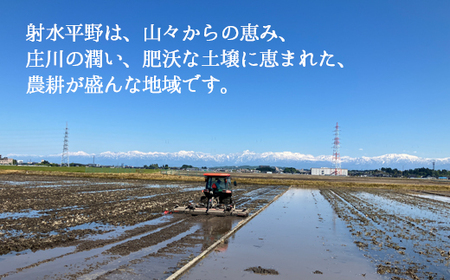 【射水市】【射水の美味しいお米】若竹のお米 R7年度産 てんたかく10kg（5kg×2）【精米】 ※離島への配送不可 ※2025年9月上旬～9月下旬頃に順次発送予定