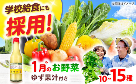 高槻野菜詰め合わせ 1月（10?15種）＆農家さん自家製ゆず果汁[AOCS003] 野菜 果物 やさい  野菜 果物 やさい  野菜 果物 やさい  野菜 果物 やさい